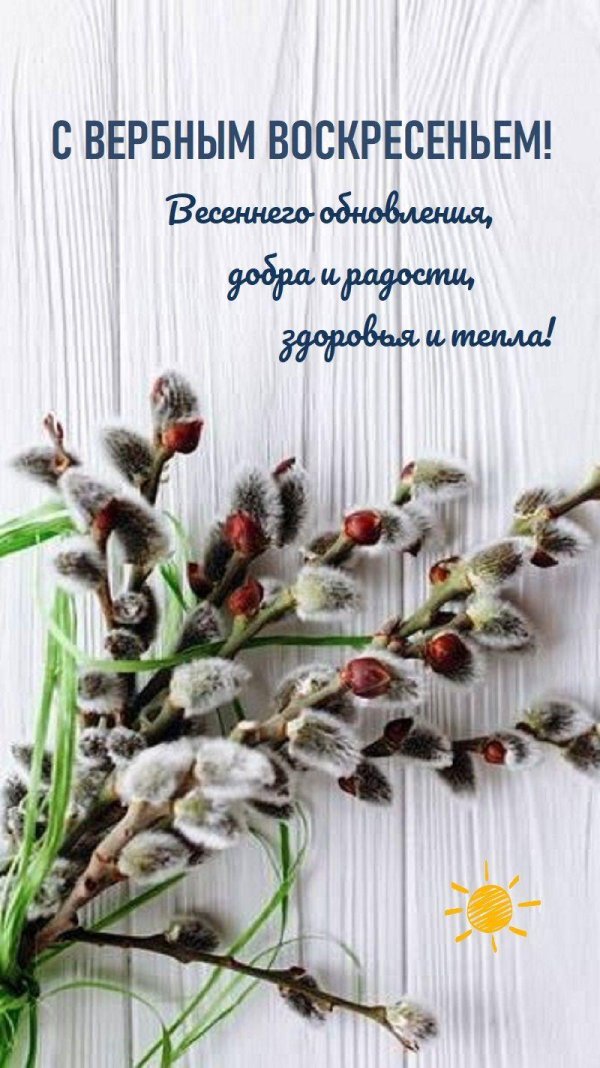 верба на вербное воскресенье