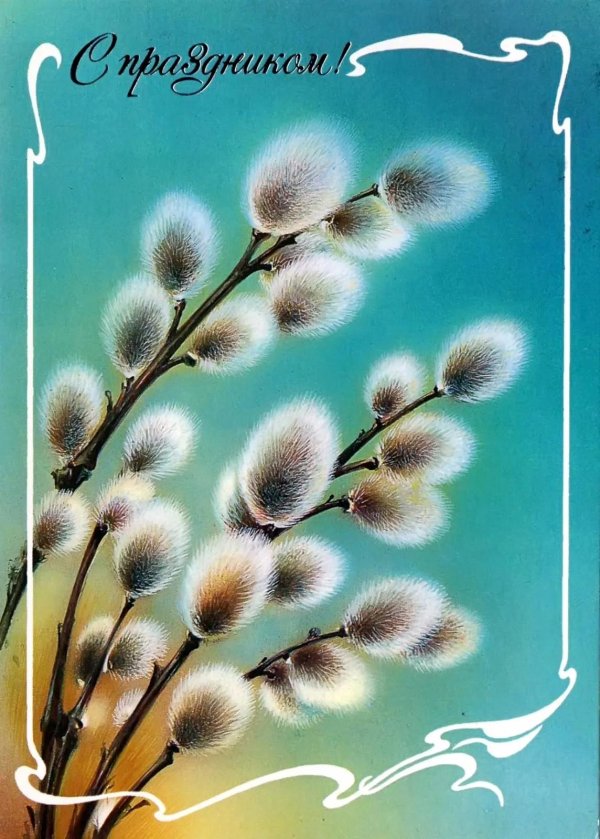 верба на вербное воскресенье