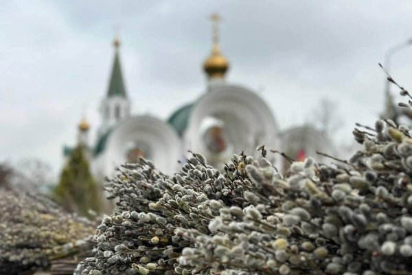 вербное воскресенье храм христа спасителя