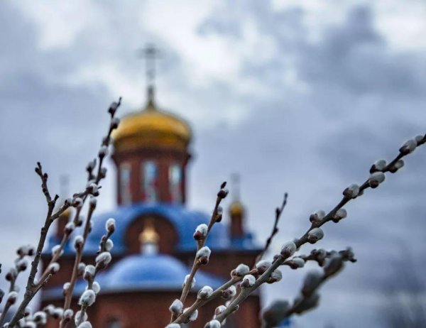 верба храм купол