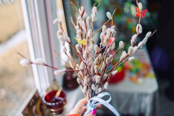 букет вербы