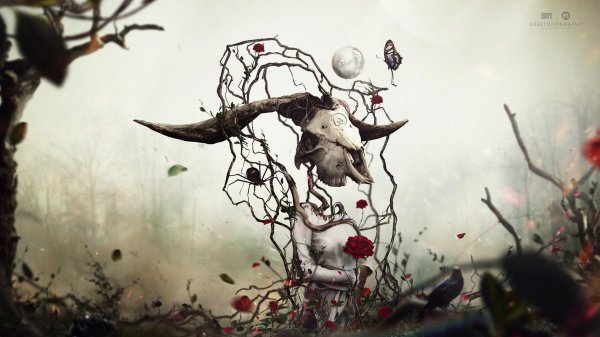 мрачный сюрреализм