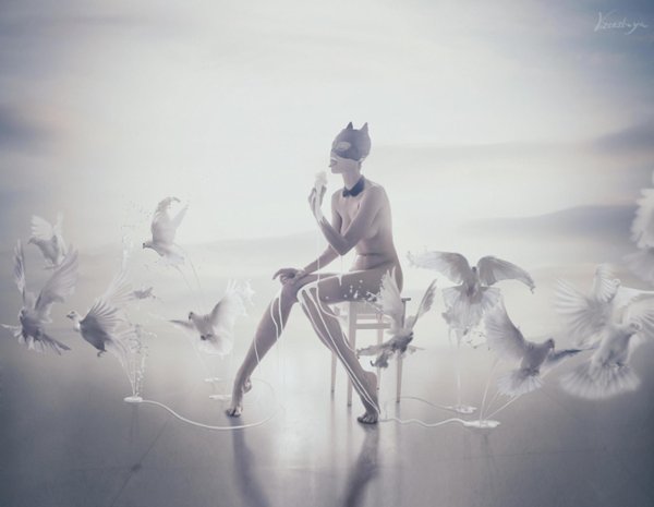 визерская кассандра