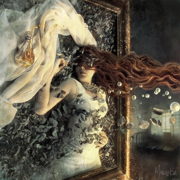 марсела боливар