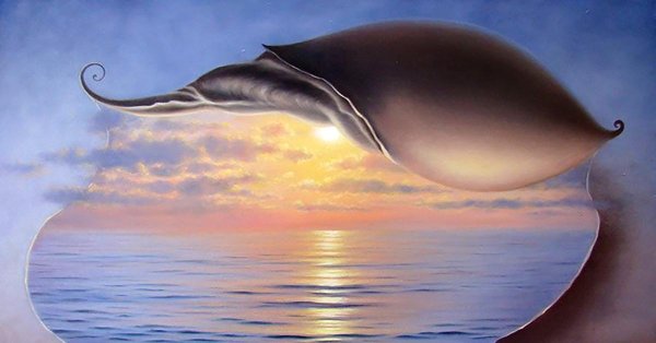 владимир куш ракушка