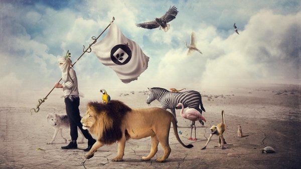 крутые коллажи в фотошопе