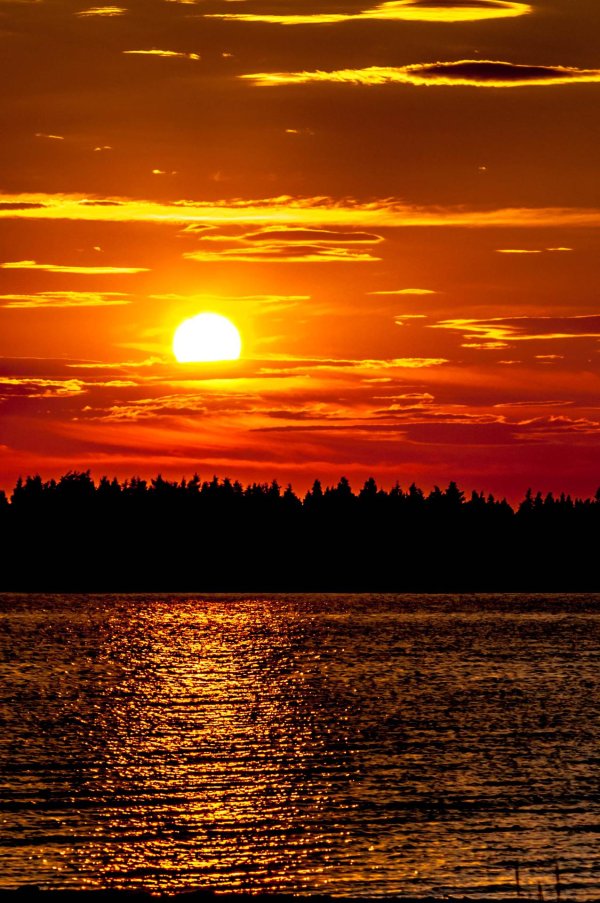 закат естественный