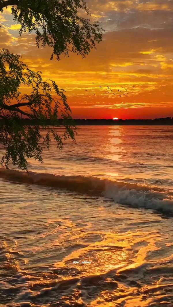 закат природа