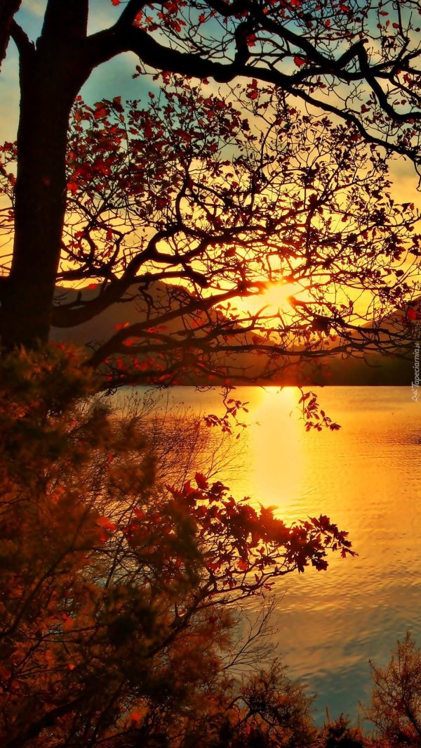 осенний рассвет счастье