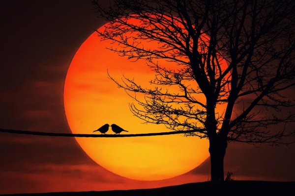 луна на закате