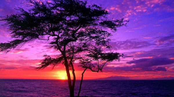 фиолетовые закаты