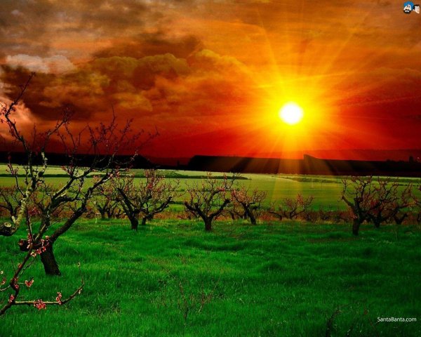 закат в поле