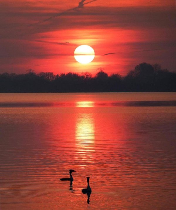 закат природа