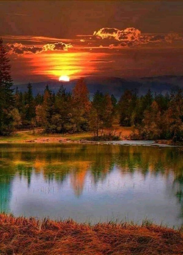 доброго ноябрьского вечера природа