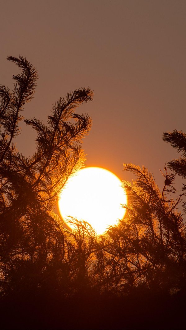 солнце природа