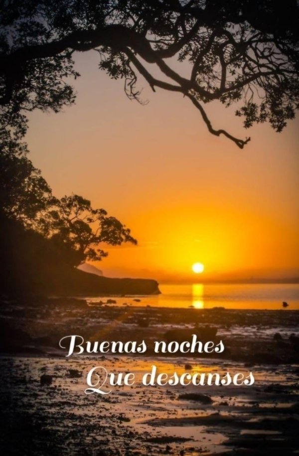 mensagem de boa noite