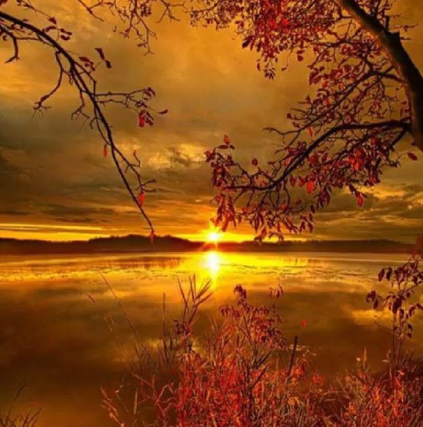 осени пейзаж