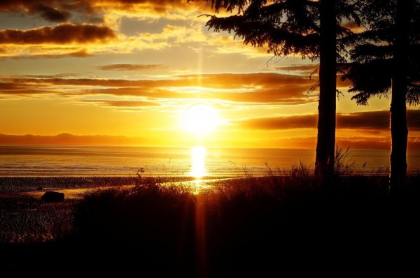 солнца рассвет