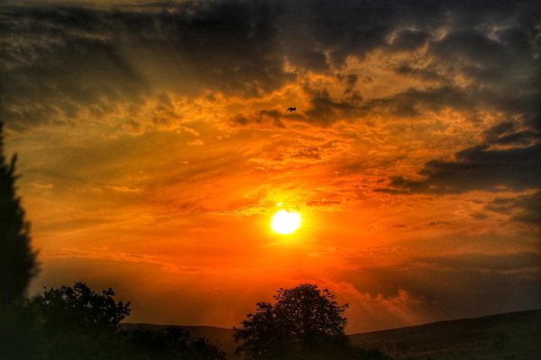 красивое солнце