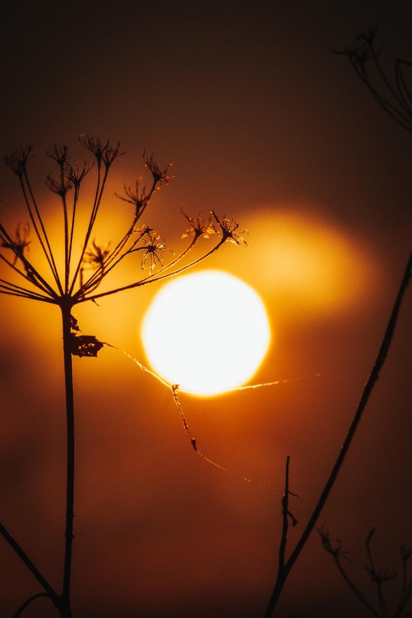 солнце красивое