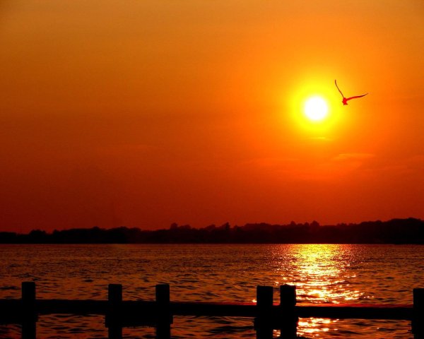 закат красивый