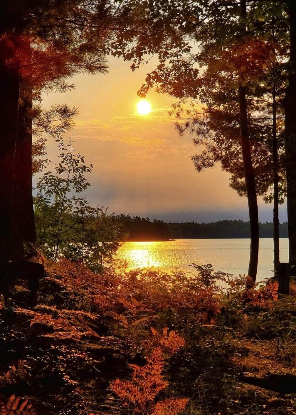 пейзажи осенние