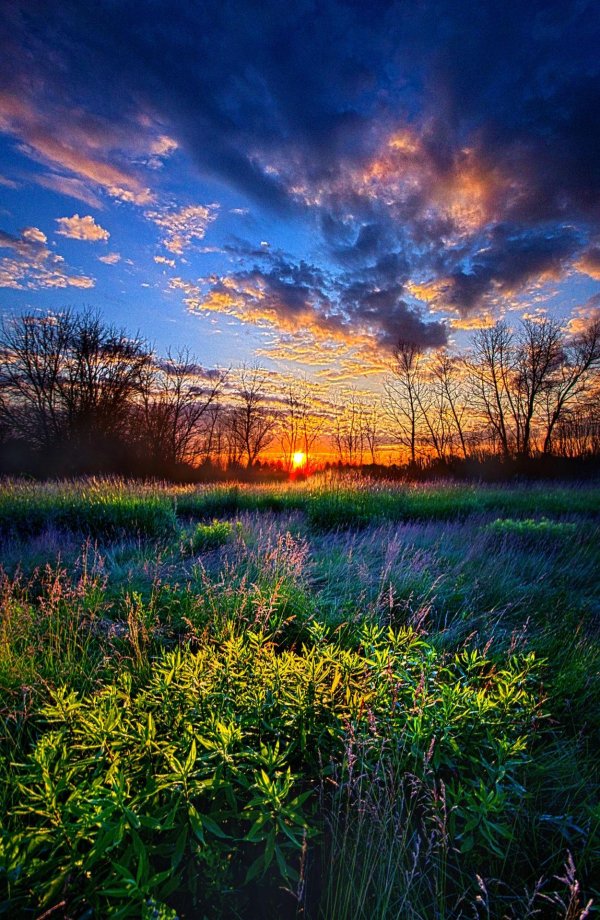 пейзажи красивые