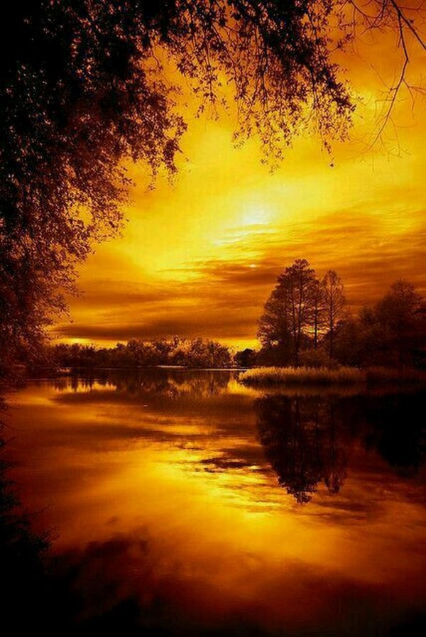 осенние пейзажи