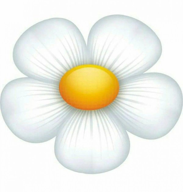 мультяшная ромашка