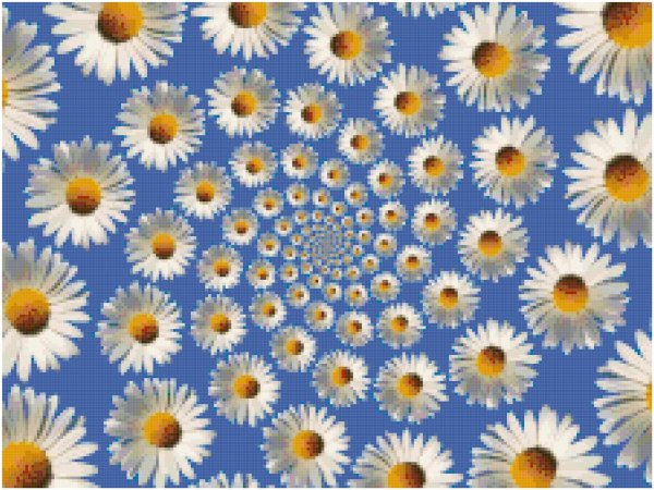 с ромашками