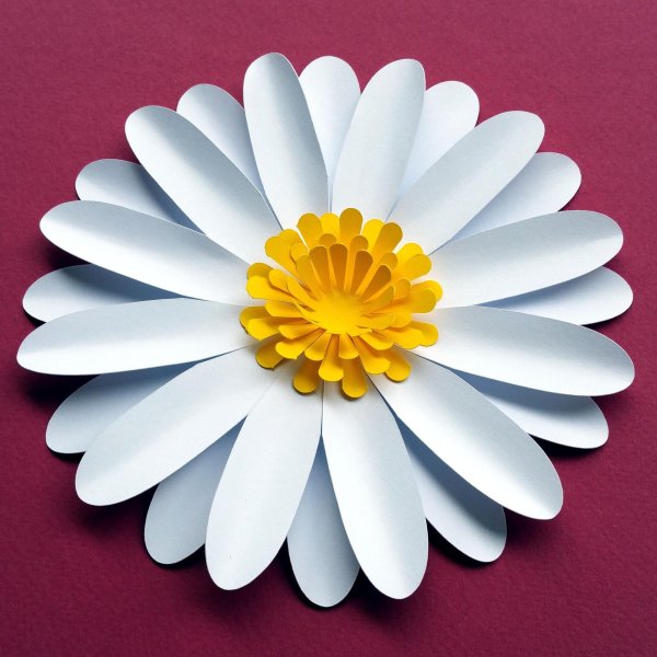 объемная ромашка