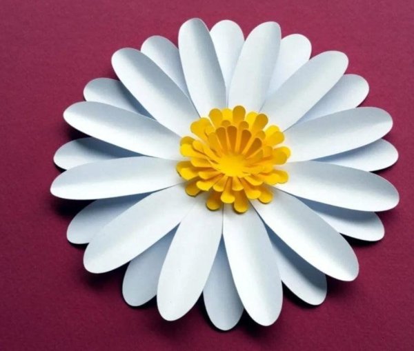 объемная ромашка