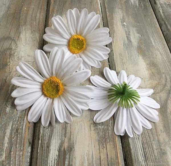 с ромашками