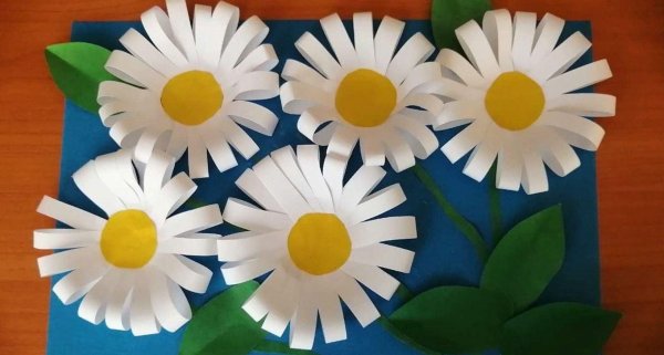 аппликация ромашка