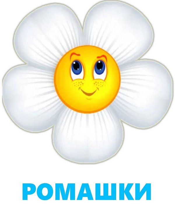 веселая ромашка