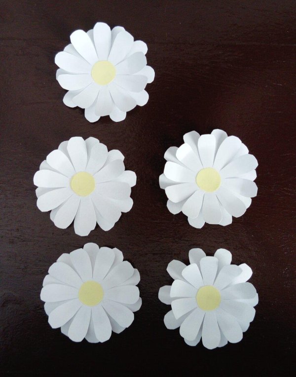 ромашки для аппликации