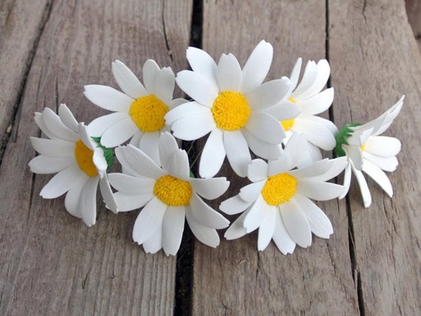 с ромашками