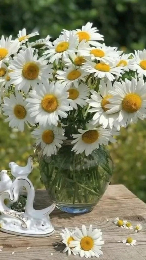 букет ромашек