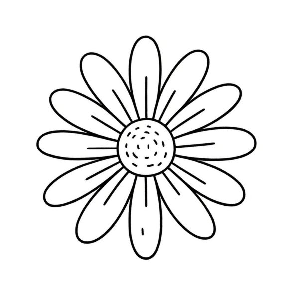 раскраска ромашка