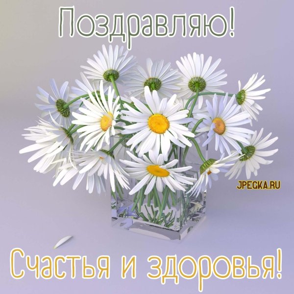 открытка с ромашками