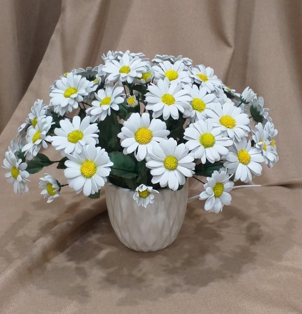 чашелистик ромашки