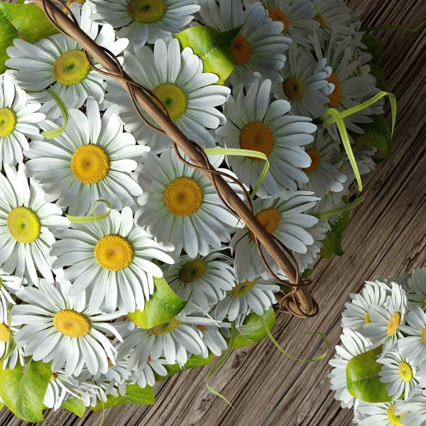 с ромашками