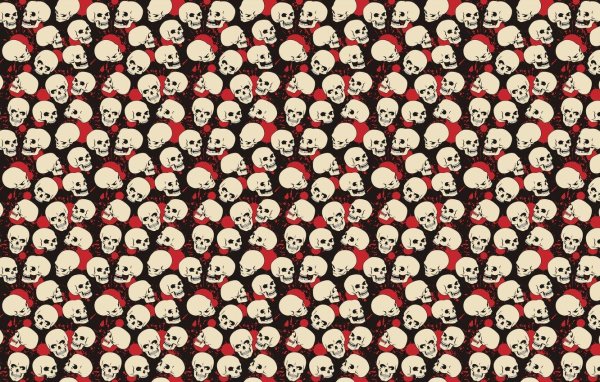 череп скелет