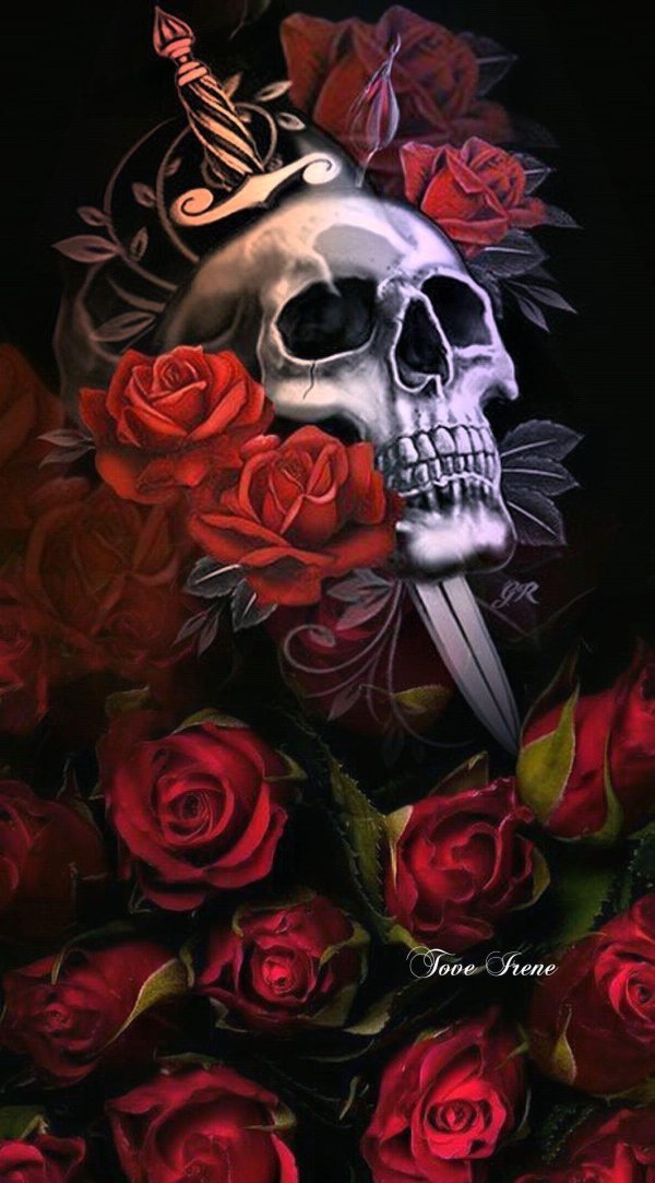 черепа и розы