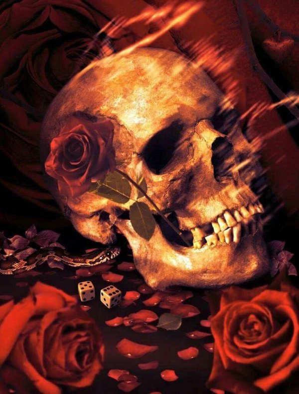 скелет с розой