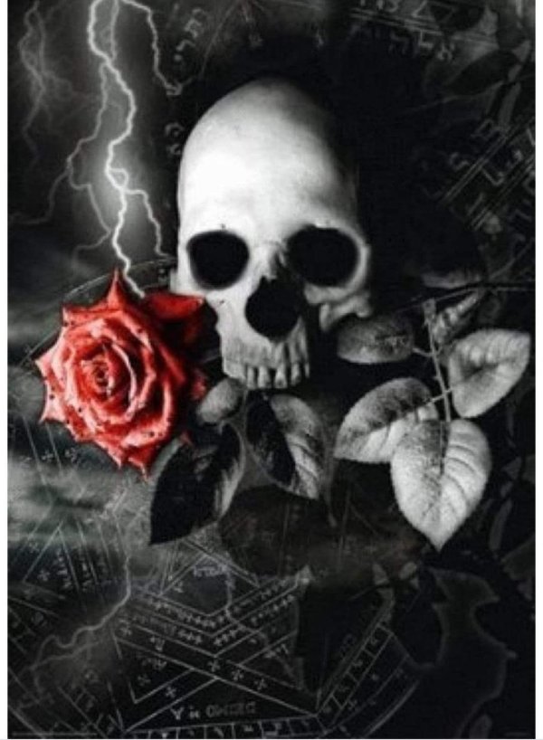 skull and roses