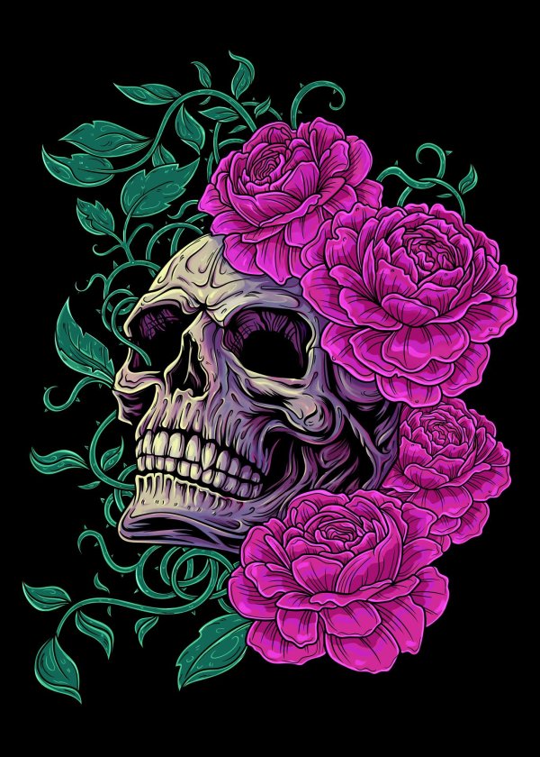 красивые черепа