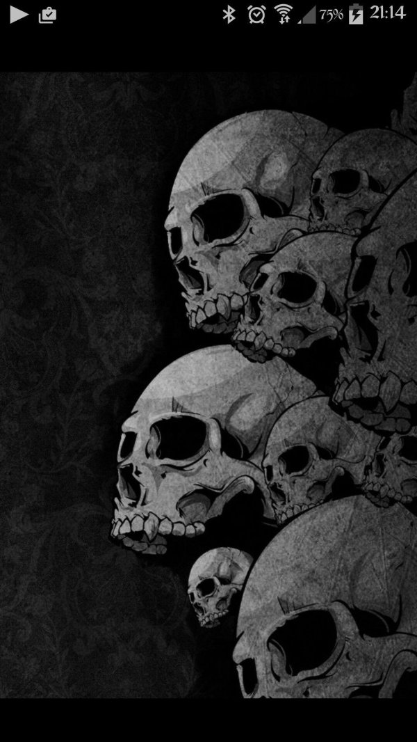 черепа фон