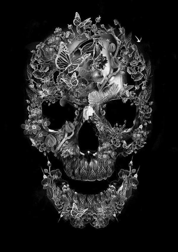 черепа эскиз