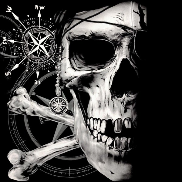 pirate skull